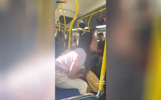 Woman On A San Francisco Bus Barks And Howls At A Man