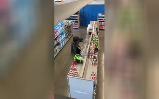 Since All The Big Chain Retailers Are Leaving San Francisco, Shoplifters Are Now Hitting Up PetSmart