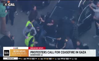 Wild Brawl Breaks Out On Los Angeles Freeway After Pro-Hamas Supporters Block It During Rush Hour