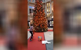 Massive Mall Christmas Trees Across Germany Are Attacked With Paint By Eco-Asshats