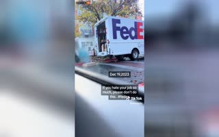 This FedEx Driver's Gonna Get A Pink Slip For The Holidays