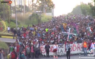 This Is The Massive Zombie Horde Of Illegals Marching Towards The US Southern Border