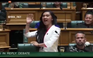Damn, The New Zealand Parliament Got Wild!