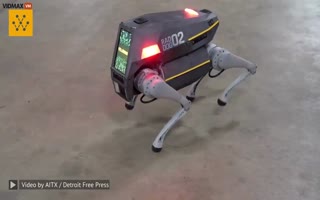 A Company Is Now Selling An AI Robot Dog For Security
