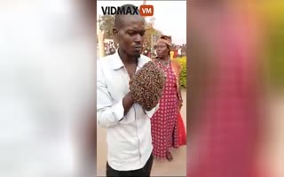 Ugandan Witch Handcuffs Thief With A Swarm Of Bees