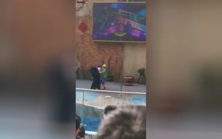 Black Bear Attacks Circus Performer In China