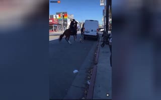 Dog Off Its Leash Attacks Police Horse With Cop Riding It In Los Angeles