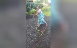 Indonesian Woman Teaches A Massive Snake Who Was Eating Her Chickens A Lesson