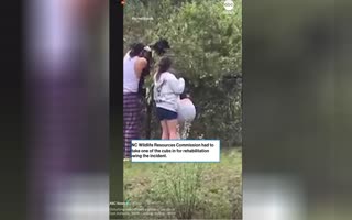 A Bunch Of Karens Are In Deep Doo-Doo After Removing Bear Cubs From Tree To Take Selfies