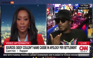 CNN Has A Trainwreck Of An Interview With A Rapper Named Cam'ron While Discussing P Diddy