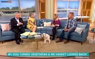 Woman Goes On Morning Show To Prove Her Dog Is Vegetarian, Dog Proves Her To Be A Moron 