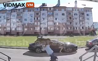 Russian Woman Gets Run Over...By A Moose