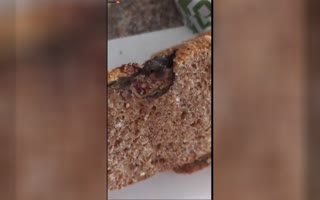 South African Bread Came With Some Disgusting, Unwanted Protien