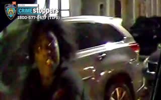 INSANE Black Woman Attacks And Under Driver, Tosses Him Out Of The Car And Steals It In Lovely NYC