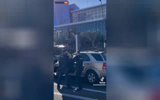 Guy Smashing Into Cars While Police Tried To Pull Him Out Should Have Been Shot