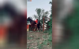 How Not To Mount A Horse